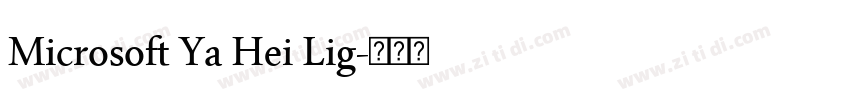 Microsoft Ya Hei Lig字体转换